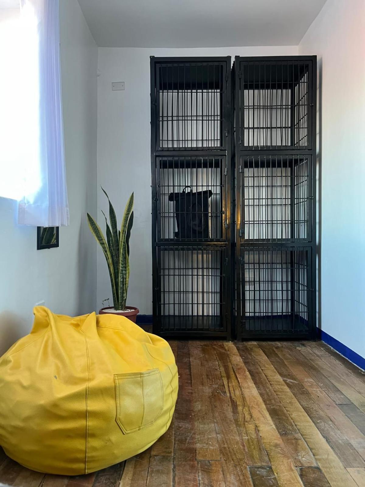 Haku Hostel Cusco Ngoại thất bức ảnh